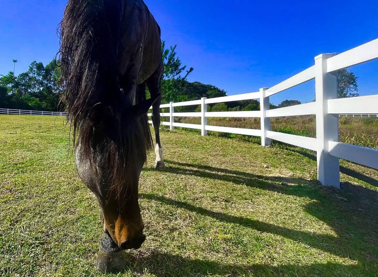 Equine Fencing Installer Gold Coast